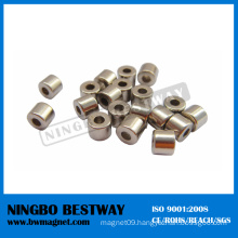 NdFeB Magnet Ring Shape Neodymium Magnet